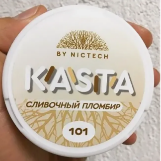 KASTA CLASSIC 101 - сливочный пламбир