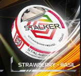 STALKER 200mg - STRAWBERRY BASIL